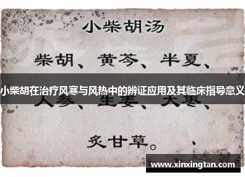 小柴胡在治疗风寒与风热中的辨证应用及其临床指导意义