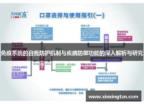 免疫系统的自我防护机制与疾病防御功能的深入解析与研究