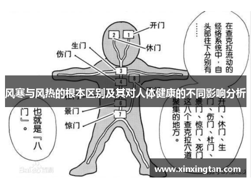 风寒与风热的根本区别及其对人体健康的不同影响分析